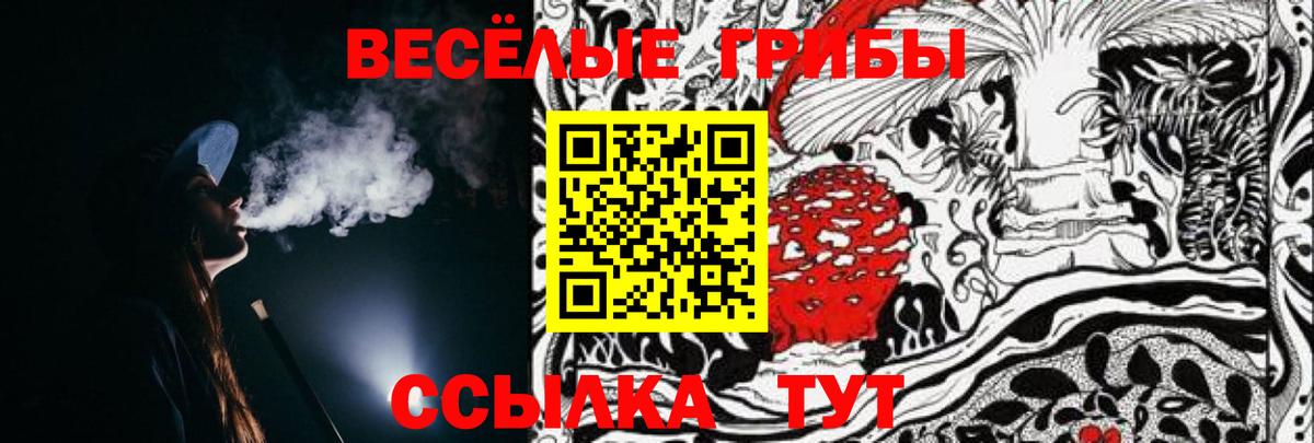 Псилоцибиновые грибы GOLDEN TEACHER  Вход с VPN  Майский 